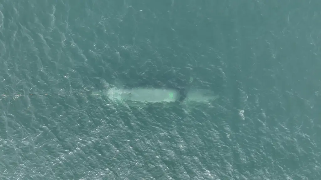 PROTOTYPE WARFARE WOULD MAKE THE ROYAL NAVY A MORE ADAPTABLE FORCE, SAYS RUSI