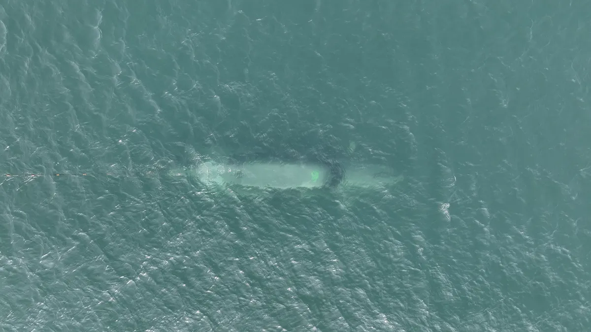 PROTOTYPE WARFARE WOULD MAKE THE ROYAL NAVY A MORE ADAPTABLE FORCE, SAYS RUSI